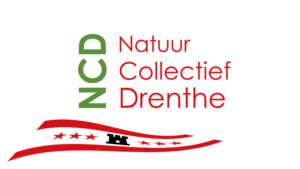 Logo Drenthe