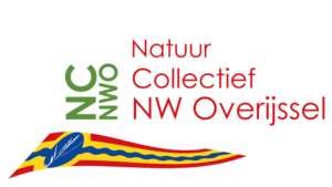 Logo NW Overijssel
